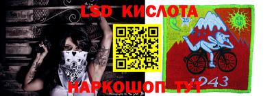 эйфоретик Краснодар