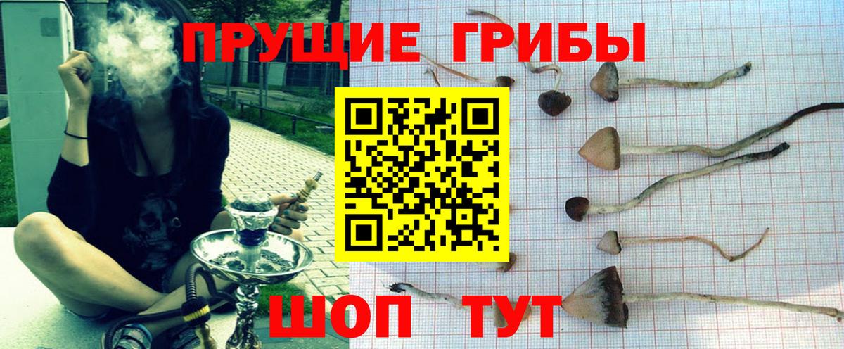 Галлюциногенные грибы MAGIC MUSHROOMS  Вход с VPN  Каспийск 